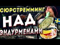 Эндурмания день рождения сюрстремминг Прохват по меховой фабрике