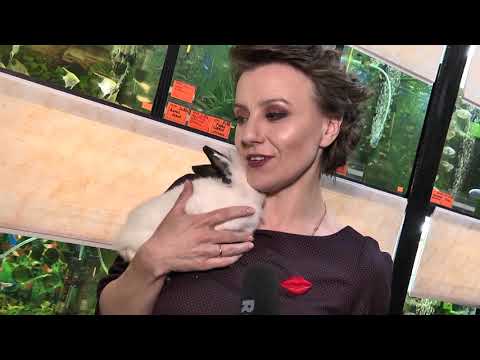 ПОЛЕЗНЫЙ АДРЕС. «Матроскин» - новый зоомагазин в Пинске (от 31.03. 2019)