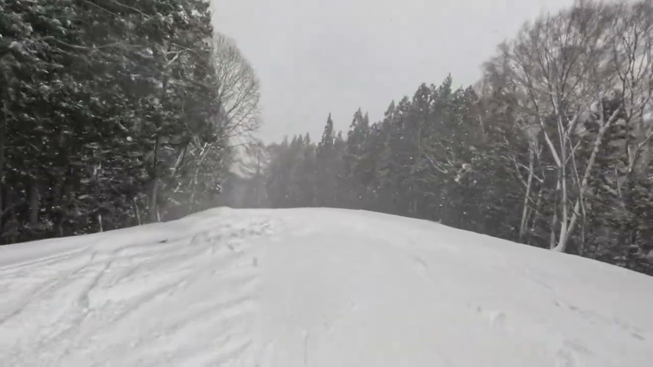 スキー 2026 02 09 かたしな高原スキー場 16 つつじコース