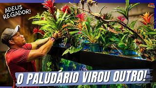 INSTALAMOS UM SISTEMA QUE FAZ CHOVER NO NOSSO PALUDÁRIO! | A CASA DOS BICHOS