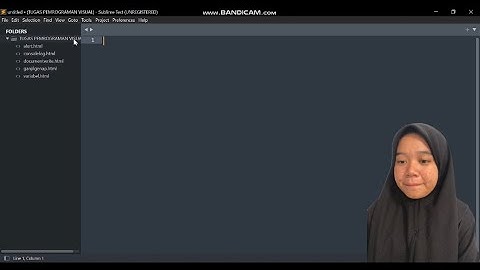 TUGAS PEMROGRAMAN VISUAL 1 ( menampilkan program biodata diri menggunakan innerHTML)