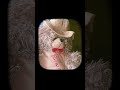My first video                                                      support me 🧿🎀