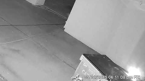 While hacker is transmitting beeps through hacked camera, East neighbor’s kids shoot at my house