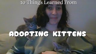 10 Things I Learned about Adopting Kittens