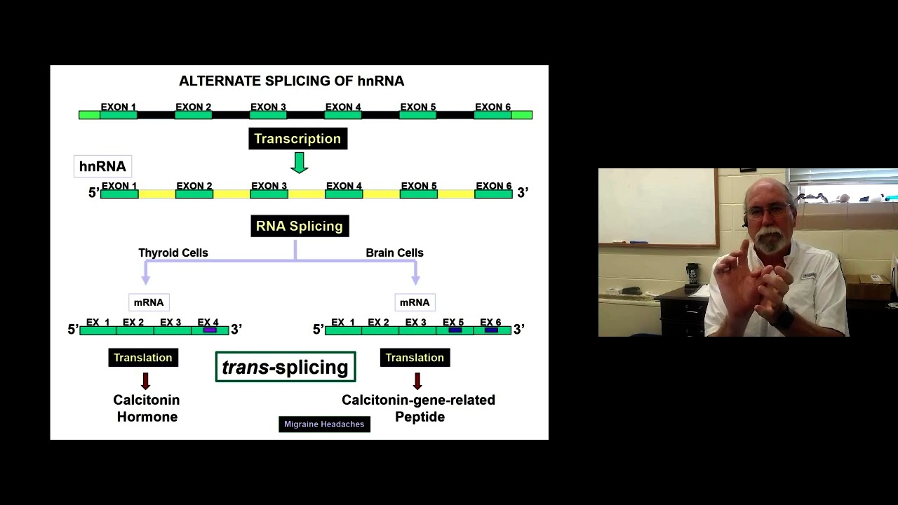 GG   RNA Processing Part 3