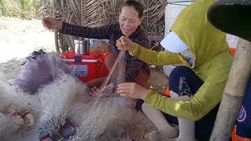 Đánh lưới gần bờ cá đục gỡ đã tay