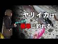 【ハウツー】ヤリイカをエギングで数釣るコツ【エンバーメイズ】
