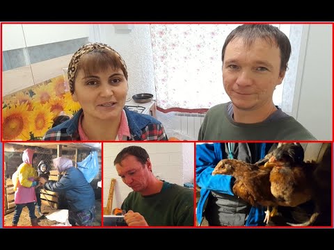 Куда пропали все куры??? Вставили дверь у мамы в ванную.