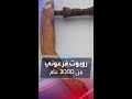 علماء يضعون تمثالا فرعونيا تحت أشعة إكس ما وجدوه مثير للدهشة