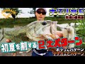 【バス釣り】デカバス怒涛の連発劇！初夏を制する2大パターン（大江川：大矢貴輝）