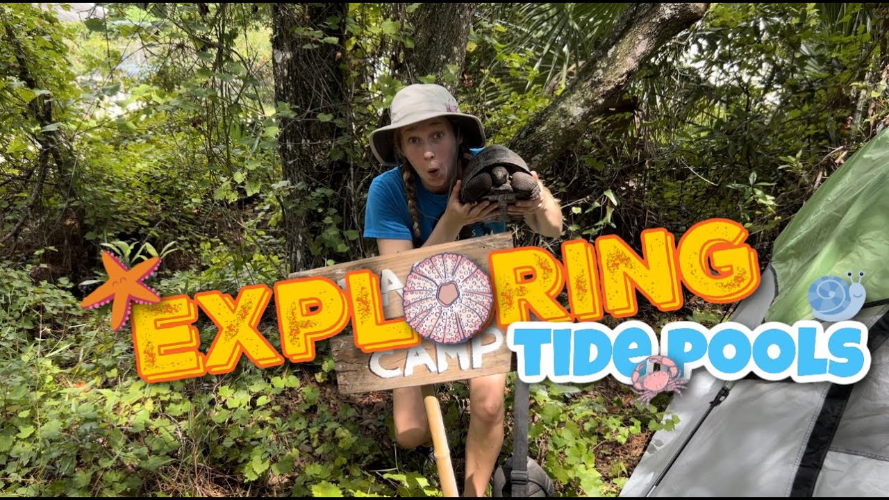 🐚 🦀 EXPLORING TIDE POOLS for Kids: LEARN about TIDE POOLS with Paige!