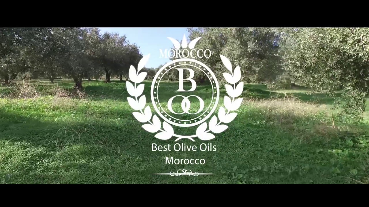 Best Morocco Olive Oils YouTube