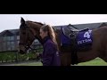 Cheltenham 2012: Supreme Novice Hurdle Preview