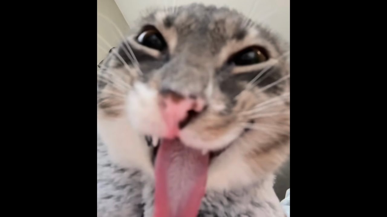 FREAKYYYYY🤑🤑🤑