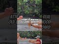 karate punch on two inch thick hardwood #karate #boxing