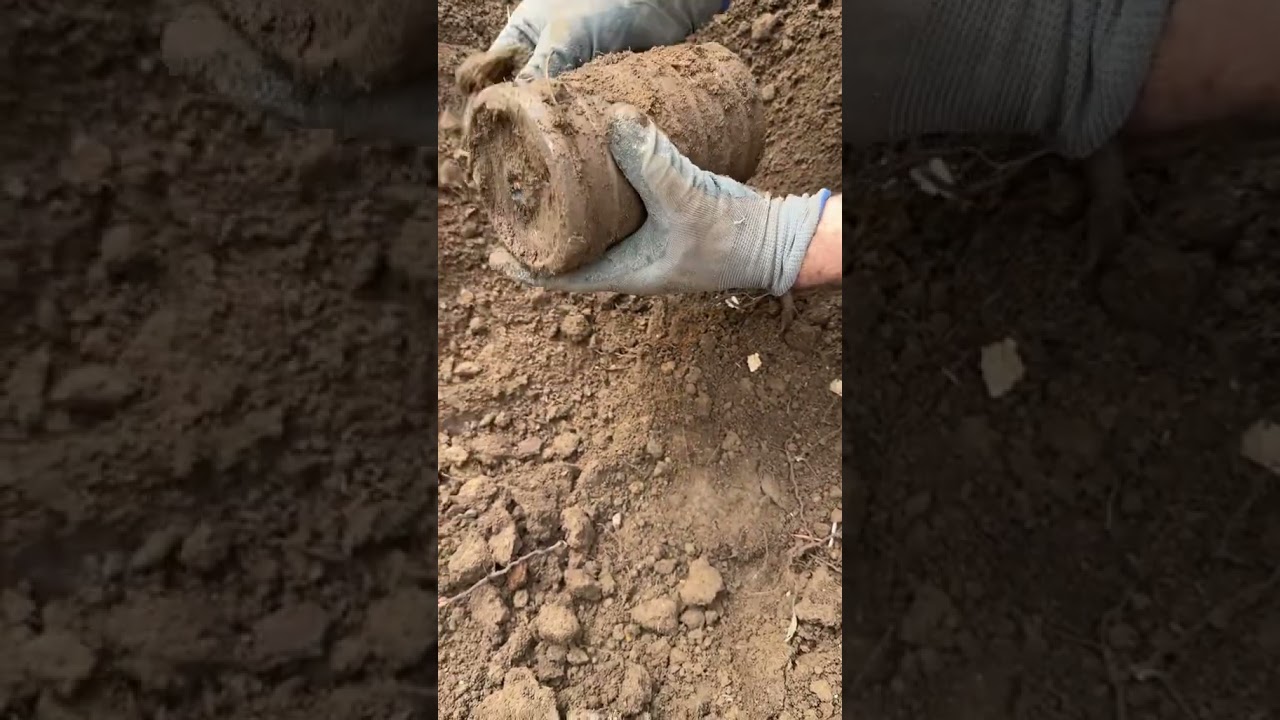 Ritrovamenti particolari.. #metaldetecting #ww2rebuilder #ww2 #nature #history #metaldetector