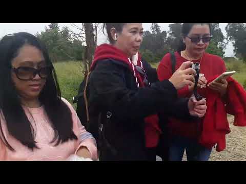 #EP293 GALA Sa KABUKIRAN Ng Yuen.Long