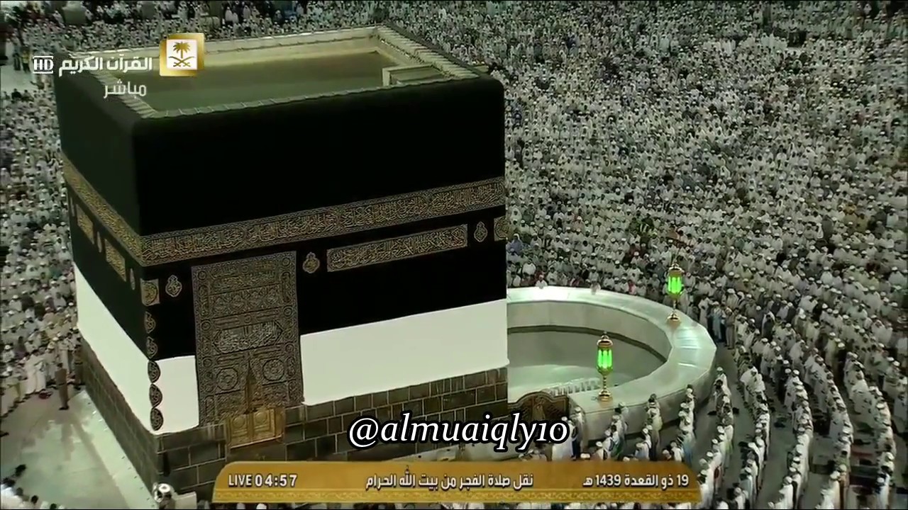 الشيخ د. ماهر المعيقلي يُحبر القرآن تحبيرًا لما تيسّر من سـورة البقرة | فجر الأربعاء ١٩-١١-١٤٣٩هـ