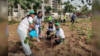 Turning barren land into growing urban dense forest by CATCH Foundation