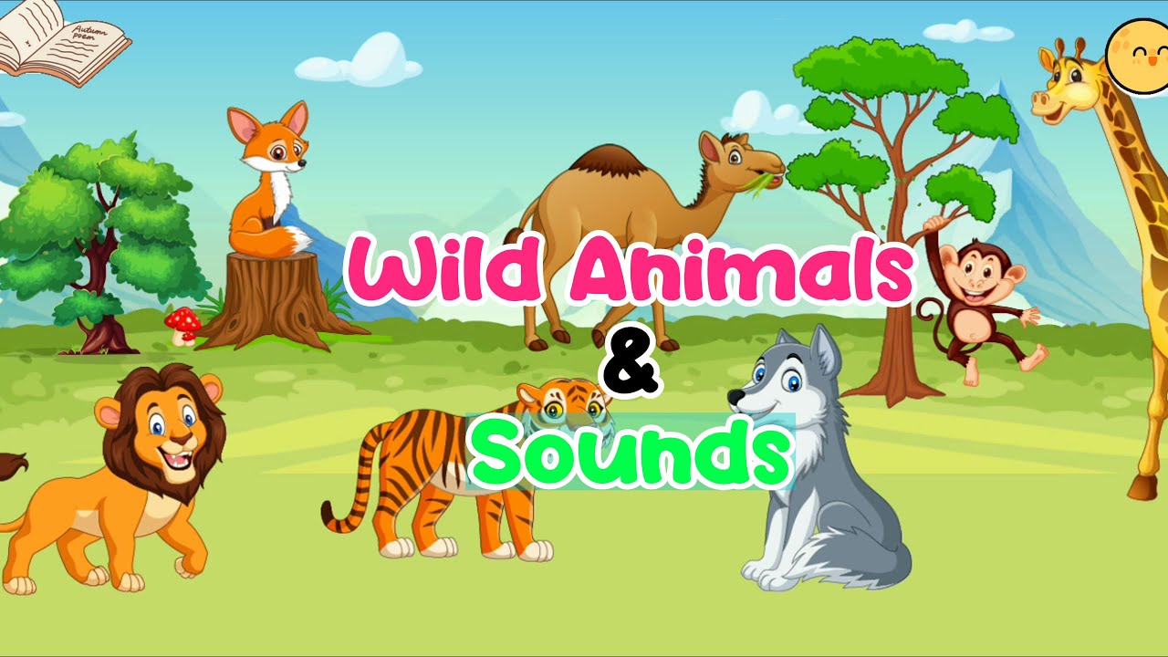 Wild animals and their sounds, Video of wild animals