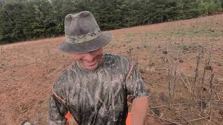 Dove hunting SC Wma 2021