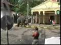 Kandy Perahera Elephant