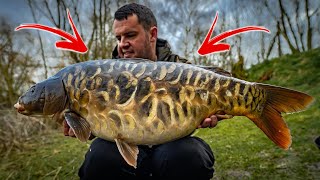 VENUE VIRGIN | Tom Maker "One of my BEST EVER carp" (Fishing a new venue)