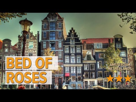 bed of roses hotel review hotels in amsterdam netherlands hotels