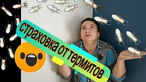💲СТРАХОВКА ОТ ☝ТЕРМИТОВ ДЕЗИНСЕКТОРЫ И КОНТРАКТЫ😲