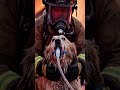 Firefighters Rescue Dog Trapped in Burning House #animals #rescue #wildlife