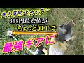 【草刈り機】5分で完成！巻き草カッター  最安値品を超高品質に改造する方法