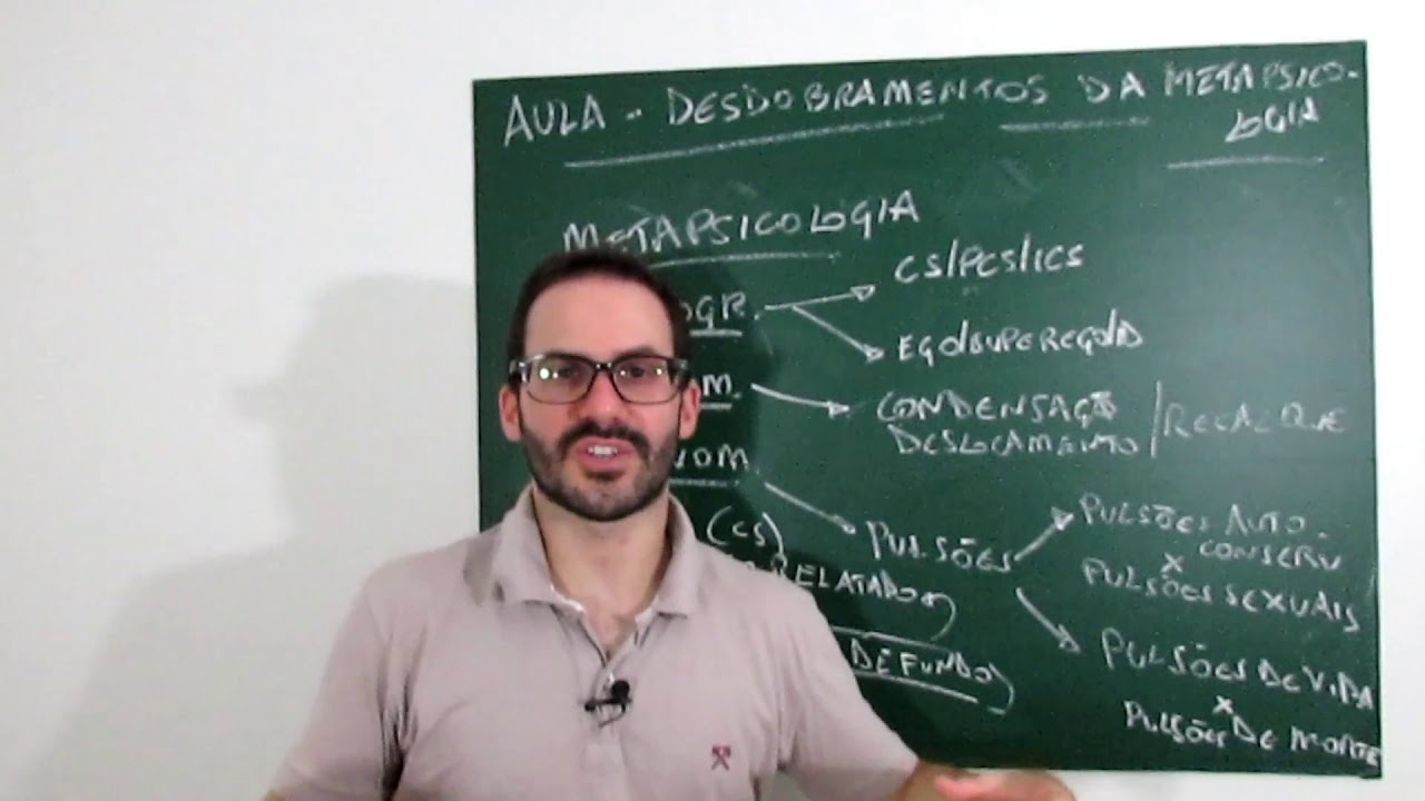 Desdobramentos da Metapsicologia (Aula M2.3 - Curso O Sintoma)