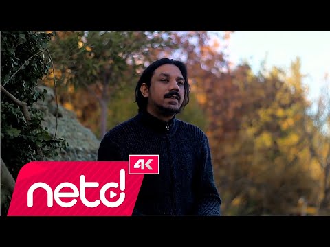 Emre Tekin Birol - Tablo