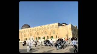 أجواء عيد الفطر بالمسجد الأقصى فلسطين