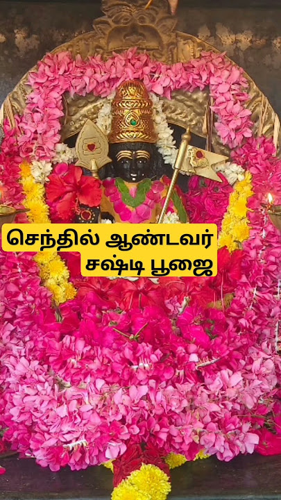 alagendra solluku Muruga  #murugansongs #tuesday #shorts