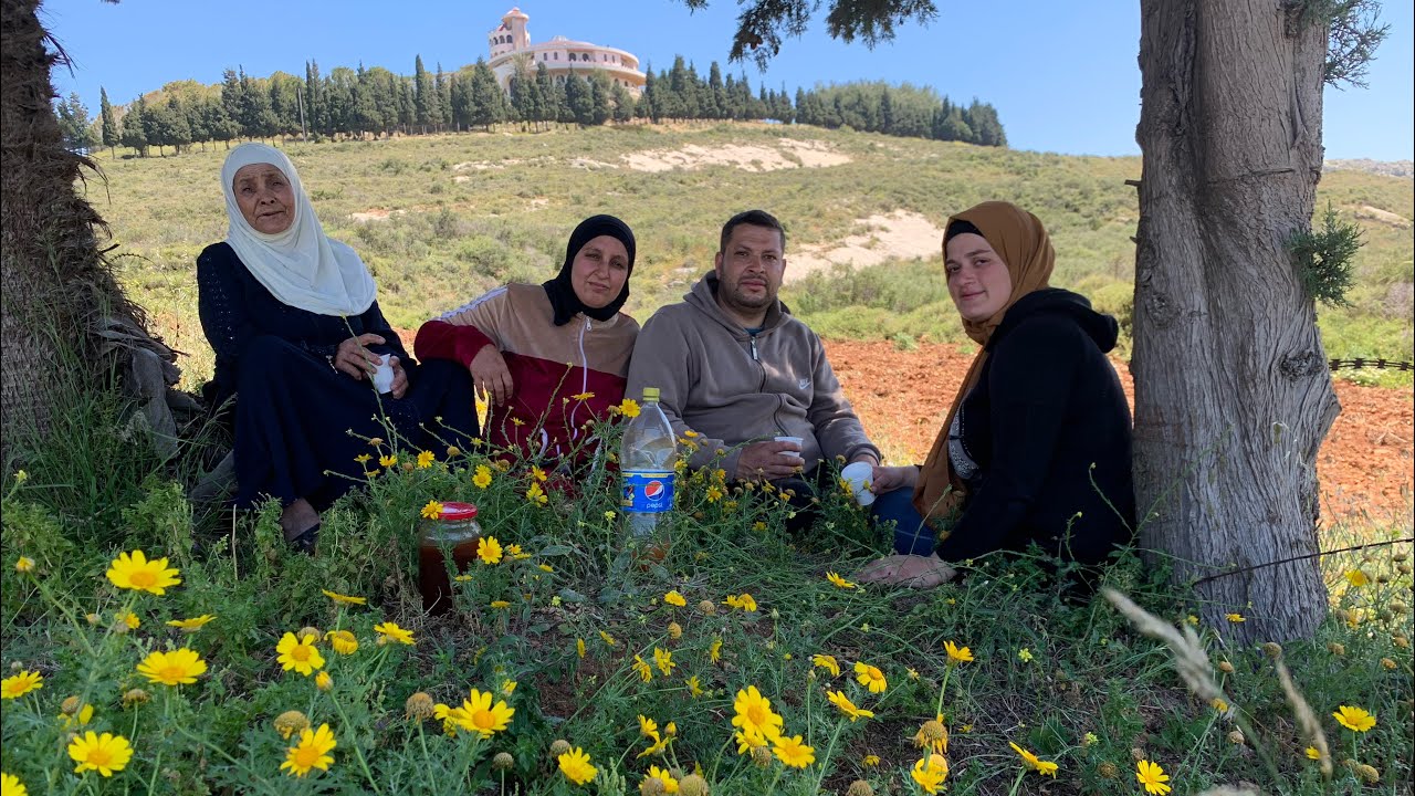 الريف اللبناني 🇱🇧 رحلة البحث عن الأعشاب الطبيه في جبال تربل الضناويه😍يوم من العمر😍