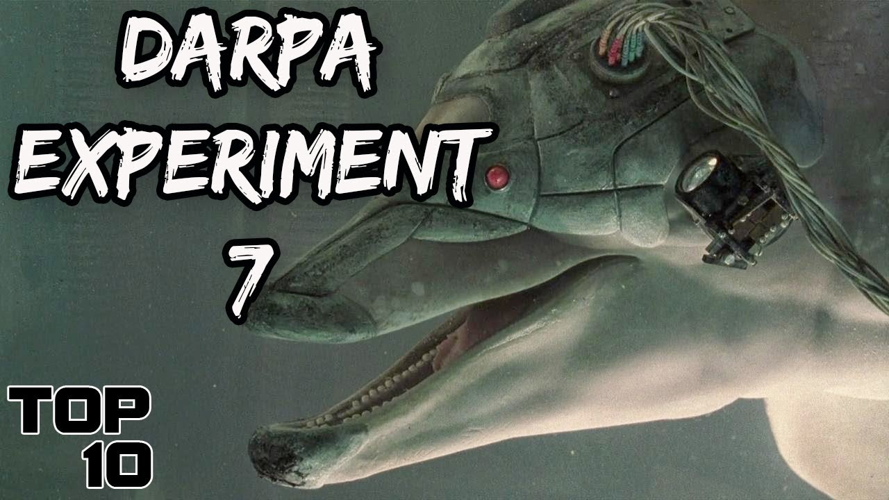 Is DARPA Real Life SCP Foundation? What Actually Is DARPA