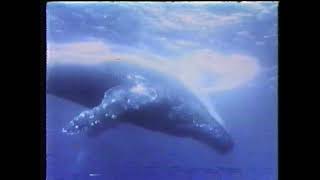 Chevron Commercial (1987)
