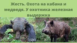 Жесть. Охота на кабана и медведя. У охотника железная выдержка.