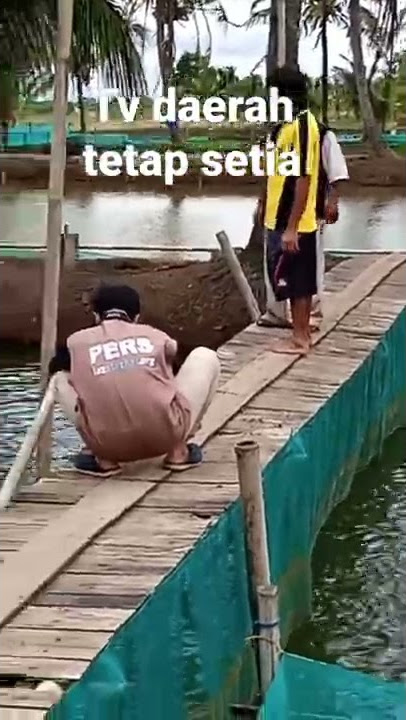 sekolah ikan