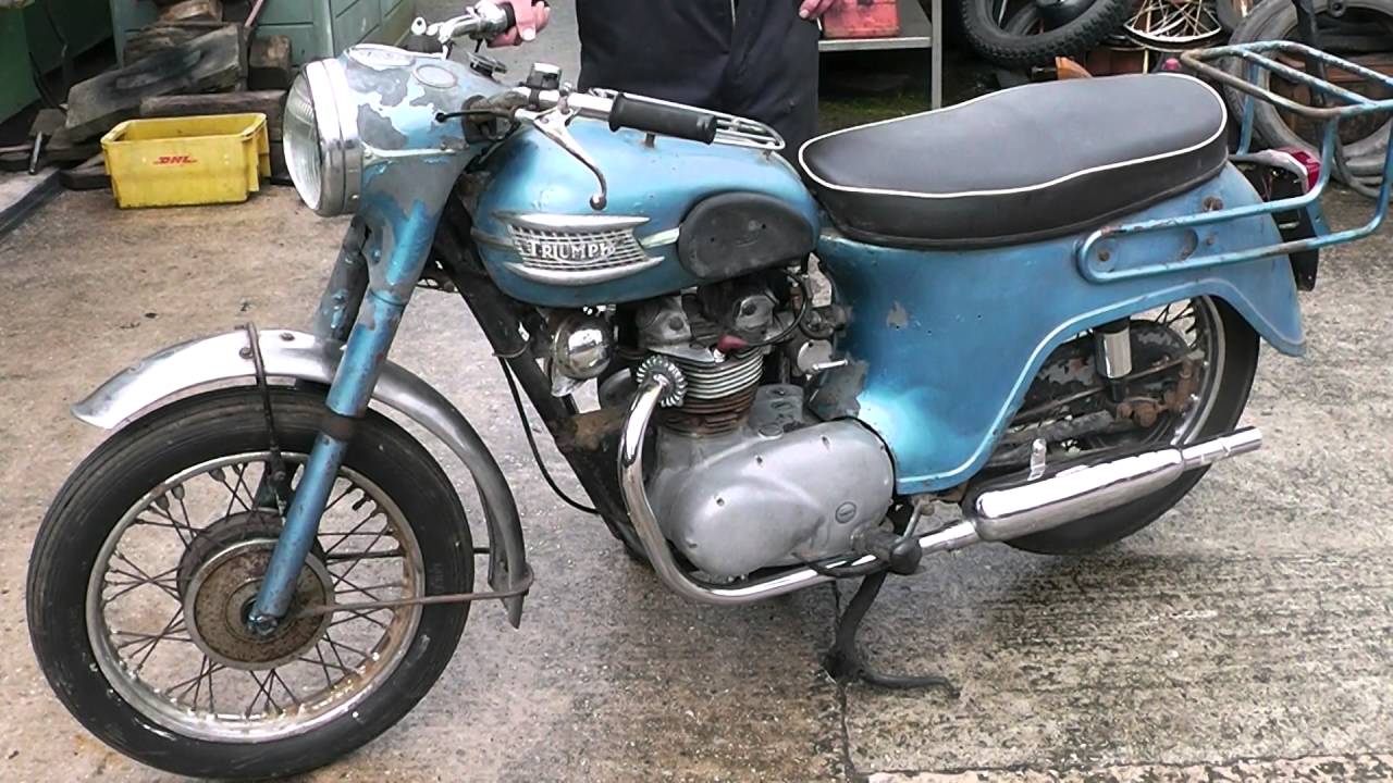 triumph 11