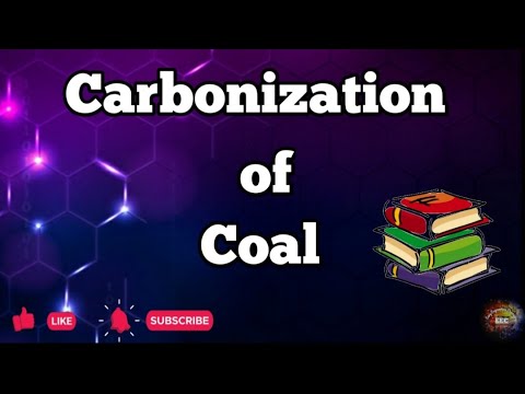 Video: Ką reiškia karbonizavimas?
