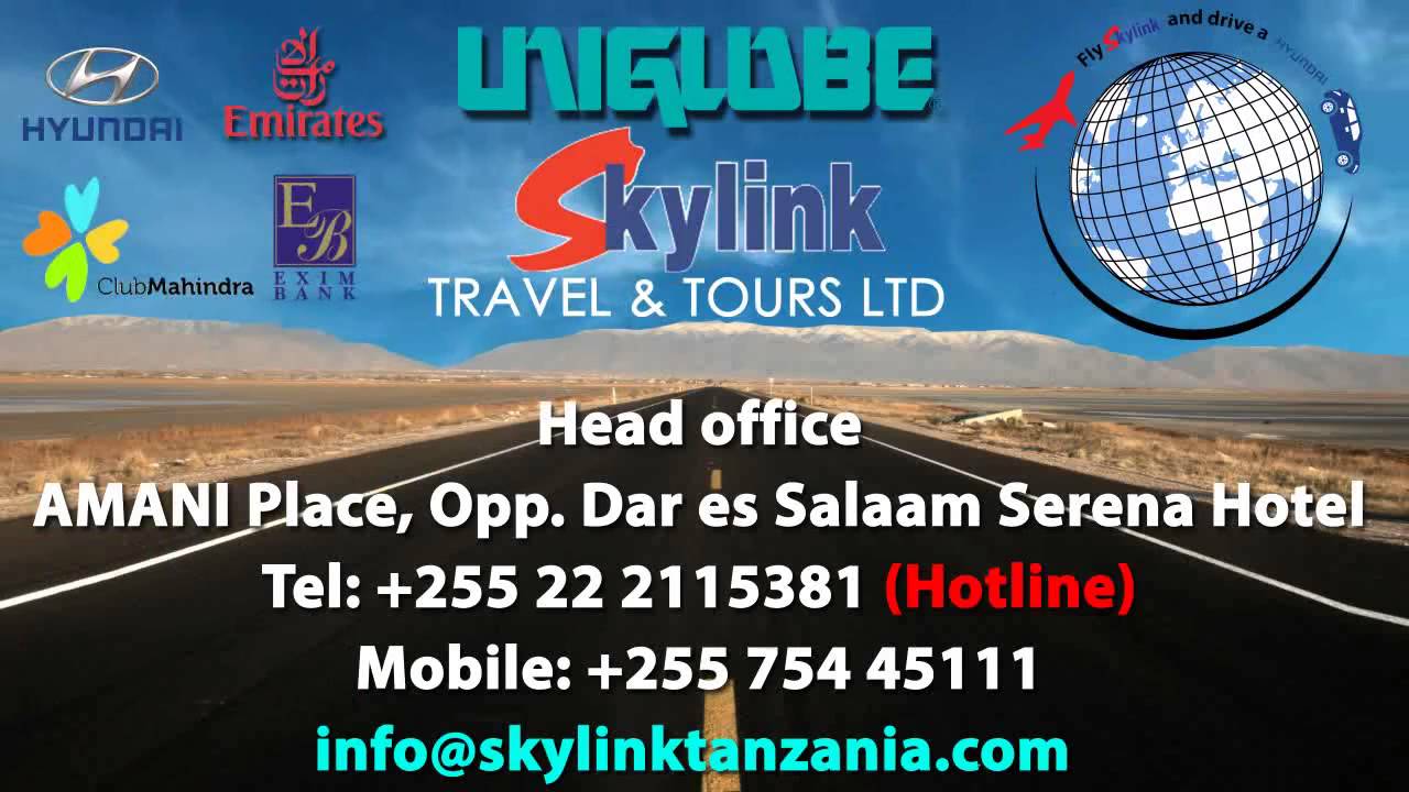 skylink travel and tours