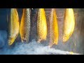 🛑Как коптить скумбрию? Скумбрия холодного копчения.How to smoke mackerel?  Cold smoked mackerel.