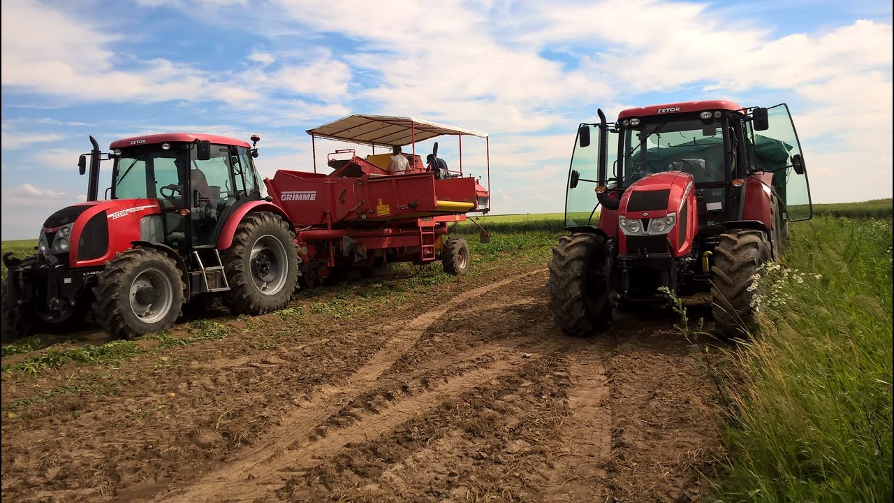 Kopanie wczesnych ziemniaków 2016  Grimme & 2x Zetor
