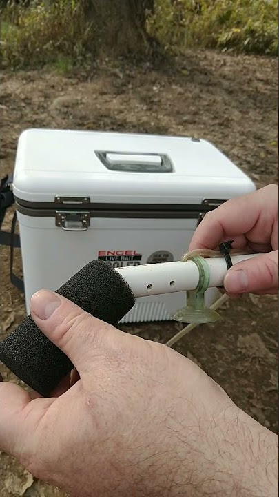 The BEST bait bucket, bait cooler, or live well mod!!! #shorts