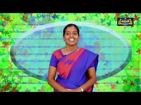 8th Std KALVI TV Social Video - பயிற்சிப் புத்தகம் | இந்தியாவின் கல்வி..| அலகு 5&6