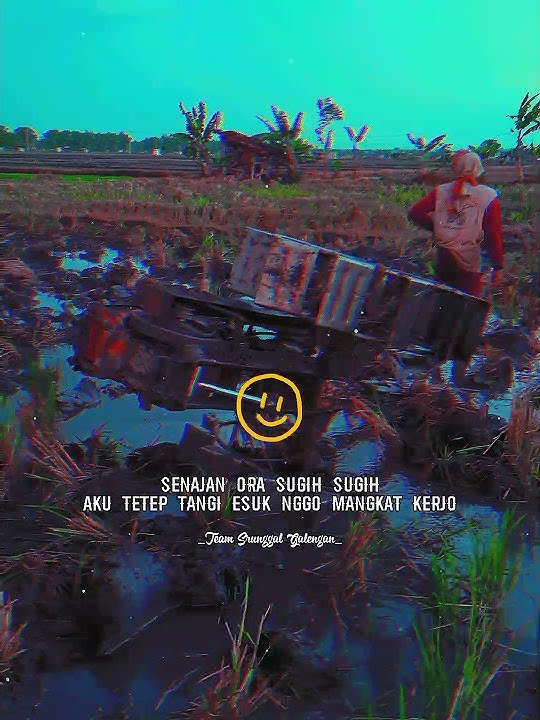 story joki traktor mletre😅