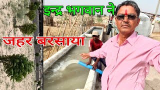 जला डाले सभी पौधे@Sadhujourney4987