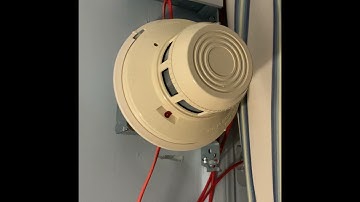 Fire-Lite MS-9600UDLS Season 1 System Test 8 |Requested by FireTech w/ new stuff| #FireAlarmFriday